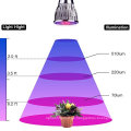 Planta LED Grow Light Three-Head 15W Clip Desk espectro completo Grow lámpara con cuello de ganso flexible de 360 ​​grados